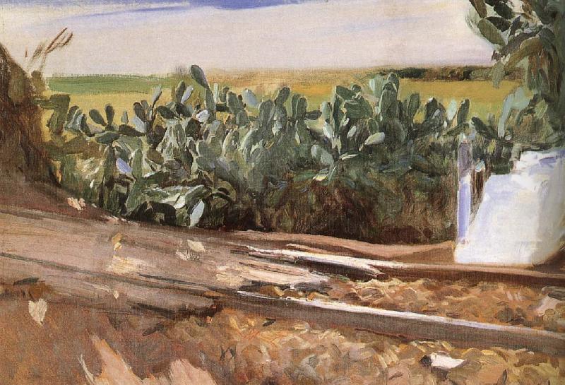 Joaquin Sorolla Roadside grass